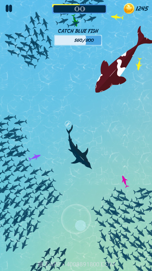 饥饿的鱼喂养和成长截图3 饥饿的鱼喂养和成长截图3