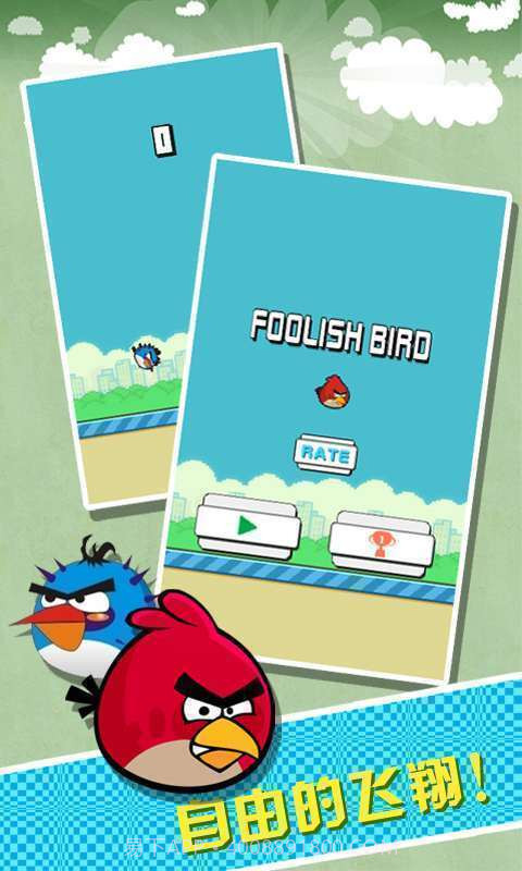 Foolish Bird截图1