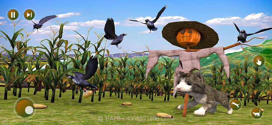 农场猫模拟器可爱的小猫截图3