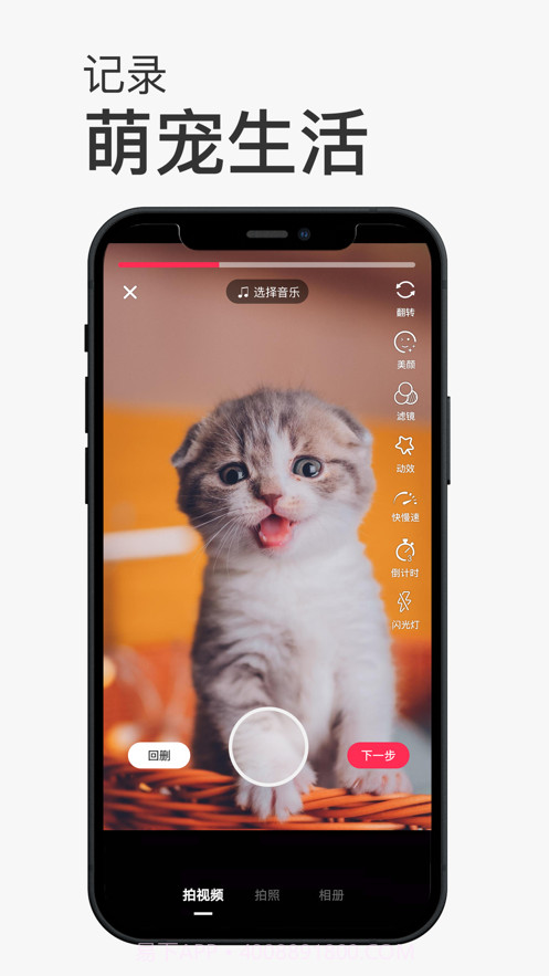 小宠书截图2 小宠书截图2