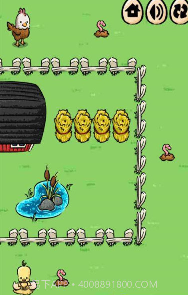 小鸡找妈妈截图3 小鸡找妈妈截图3