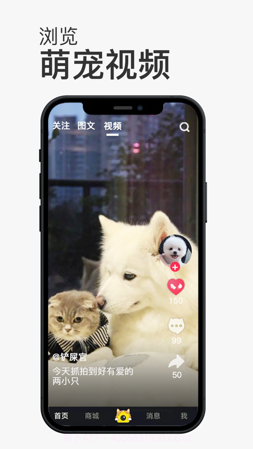 小宠书截图3 小宠书截图3