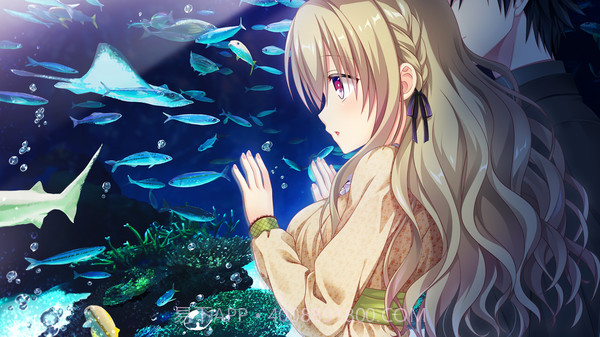 IxSHE Tell中文版截图1