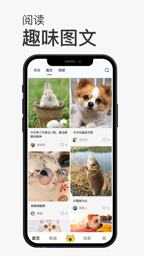 小宠书截图5 小宠书截图5