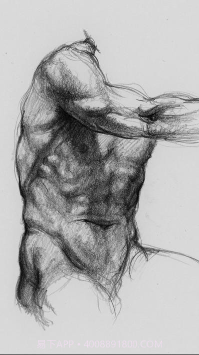 艺术家之3d解剖图截图5