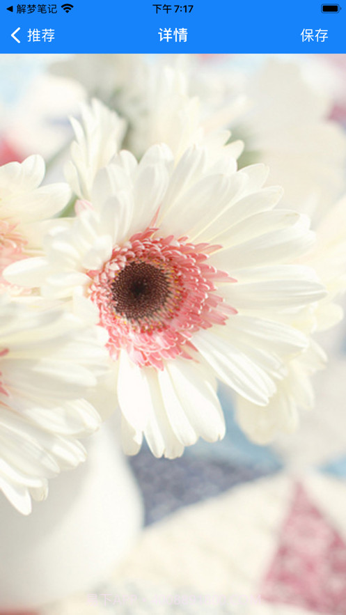 小海豹壁纸截图4 小海豹壁纸截图4