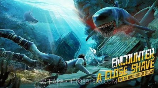 迷失蔚蓝2命运之岛截图2