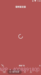 猫咪识别器(猫咪识别器品种鉴定)安卓中文版截图2 猫咪识别器(猫咪识别器品种鉴定)安卓中文版截图2