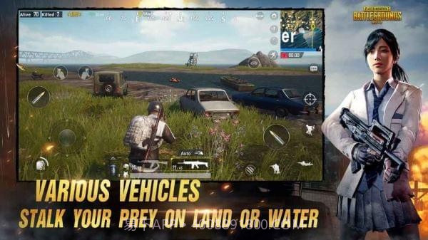 pubg mobile lite印度服截图1