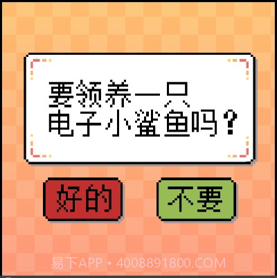 我的小鲨鱼截图2