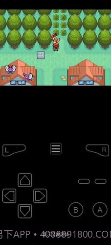 口袋妖怪最后的火红截图1 口袋妖怪最后的火红截图1