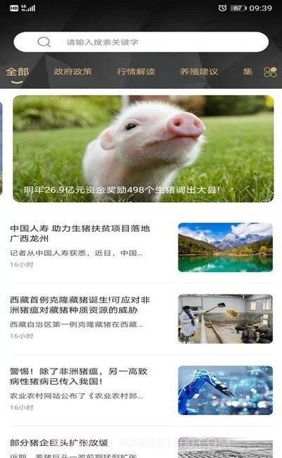 金猪数据截图2 金猪数据截图2