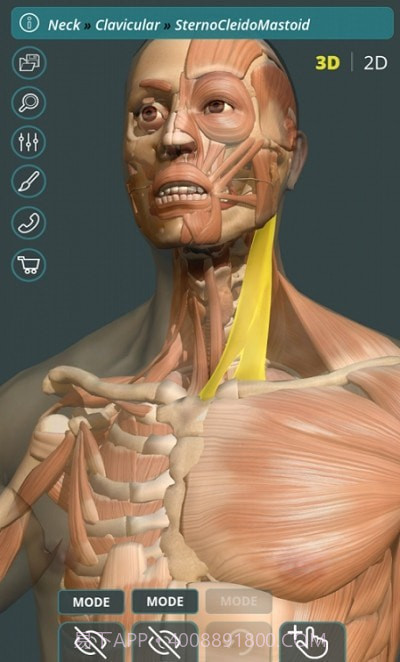 人体3D立体解剖(Visual Anatomy 3D - Human)截图1 人体3D立体解剖(Visual Anatomy 3D - Human)截图1
