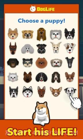 狗狗的一生截图3 狗狗的一生截图3