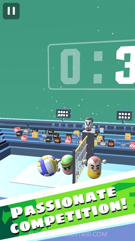 惊奇的3D排球截图2