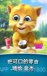 会说话的金杰无限金币版截图1 会说话的金杰无限金币版截图1