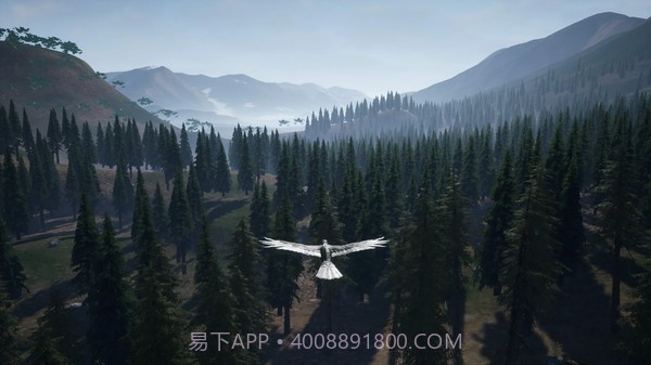 乌鸦模拟器截图2