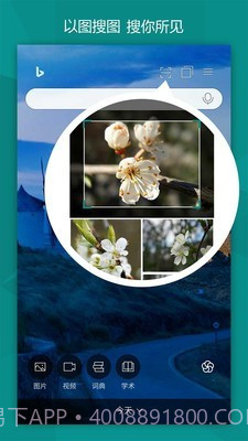 必应bing(Microsoft Bing)截图4