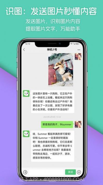 宠物宝宝大全截图2