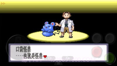 口袋妖怪:红宝石截图3 口袋妖怪:红宝石截图3