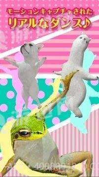 adanza跳舞的羊驼最新版截图1 adanza跳舞的羊驼最新版截图1