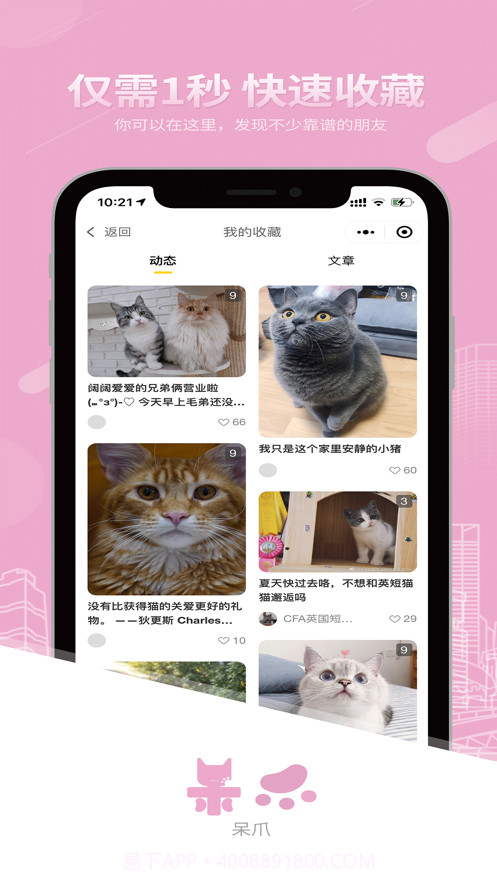 呆爪截图2 呆爪截图2