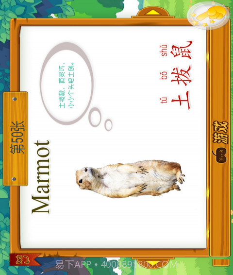 动物大全截图4 动物大全截图4