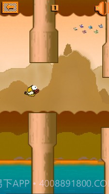 快乐的小鸟截图3