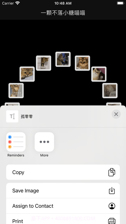 一颗不落小糖喵喵截图3 一颗不落小糖喵喵截图3