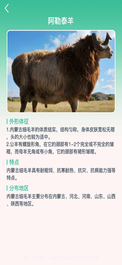 养羊指南截图4