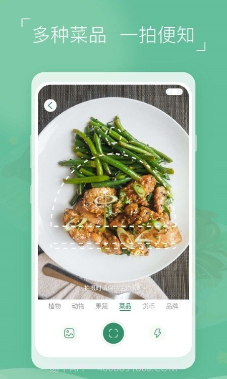 植物识别宝截图2 植物识别宝截图2