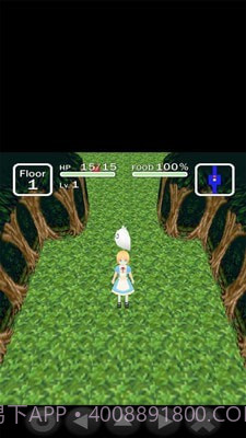 爱丽丝与不思议的迷宫截图4 爱丽丝与不思议的迷宫截图4