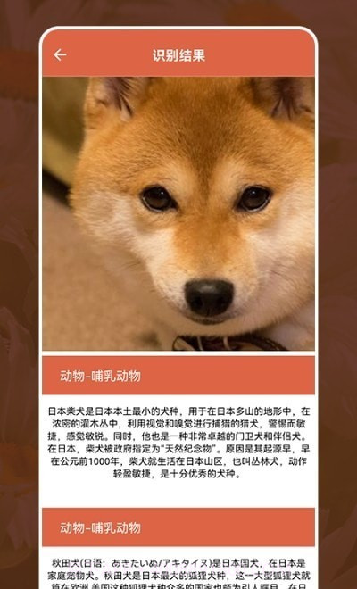 动植物识别大全截图1 动植物识别大全截图1
