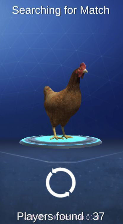 公鸡模拟器截图3 公鸡模拟器截图3