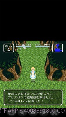 爱丽丝与不思议的迷宫截图5 爱丽丝与不思议的迷宫截图5