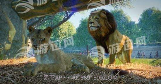 动物园之星Planet Zoo截图2 动物园之星Planet Zoo截图2