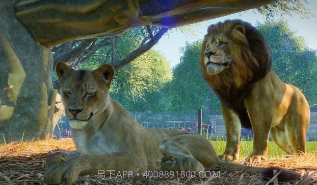 动物园之星手游模拟器中文版截图1 动物园之星手游模拟器中文版截图1