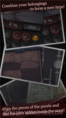 白岛截图2 白岛截图2