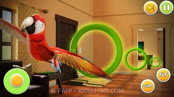 宠物鹦鹉模拟器截图2