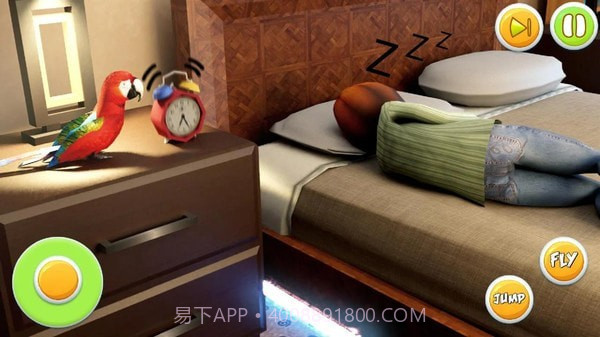 宠物鹦鹉模拟器截图1