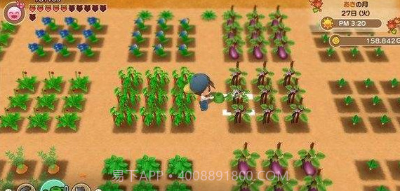 牧场物语再会矿石镇截图2