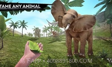 幸存者冒险生存岛截图2 幸存者冒险生存岛截图2