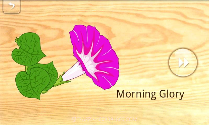 宝宝拼图:植物截图4 宝宝拼图:植物截图4