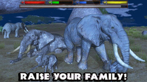 热带草原动物模拟器截图1 热带草原动物模拟器截图1