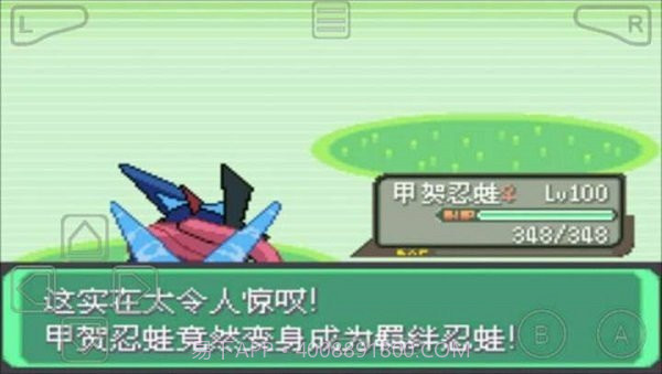 口袋妖怪:绿宝石802截图1 口袋妖怪:绿宝石802截图1