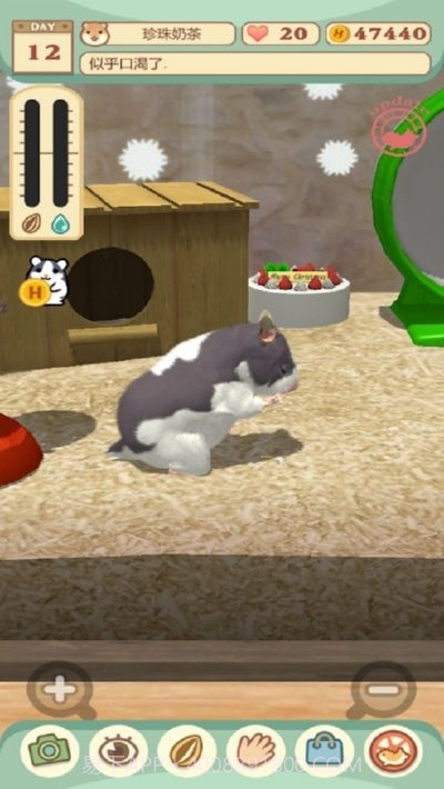 我的仓鼠无限金币版截图2 我的仓鼠无限金币版截图2