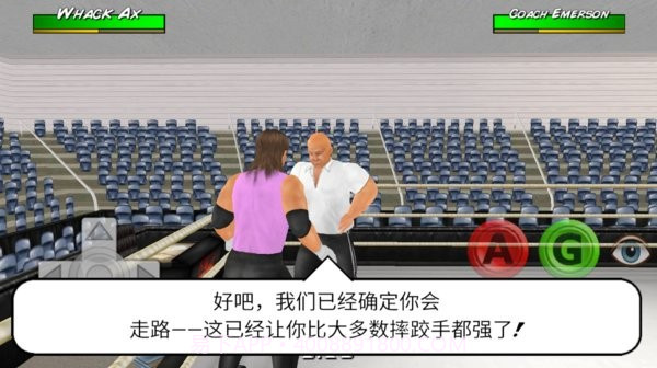 摔跤帝国菜鸟的饭桶截图2 摔跤帝国菜鸟的饭桶截图2