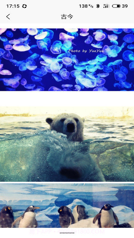 古今截图3 古今截图3