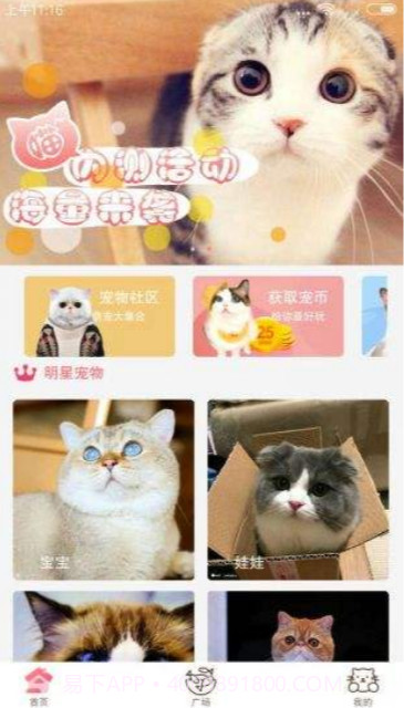 猫咪截图3 猫咪截图3