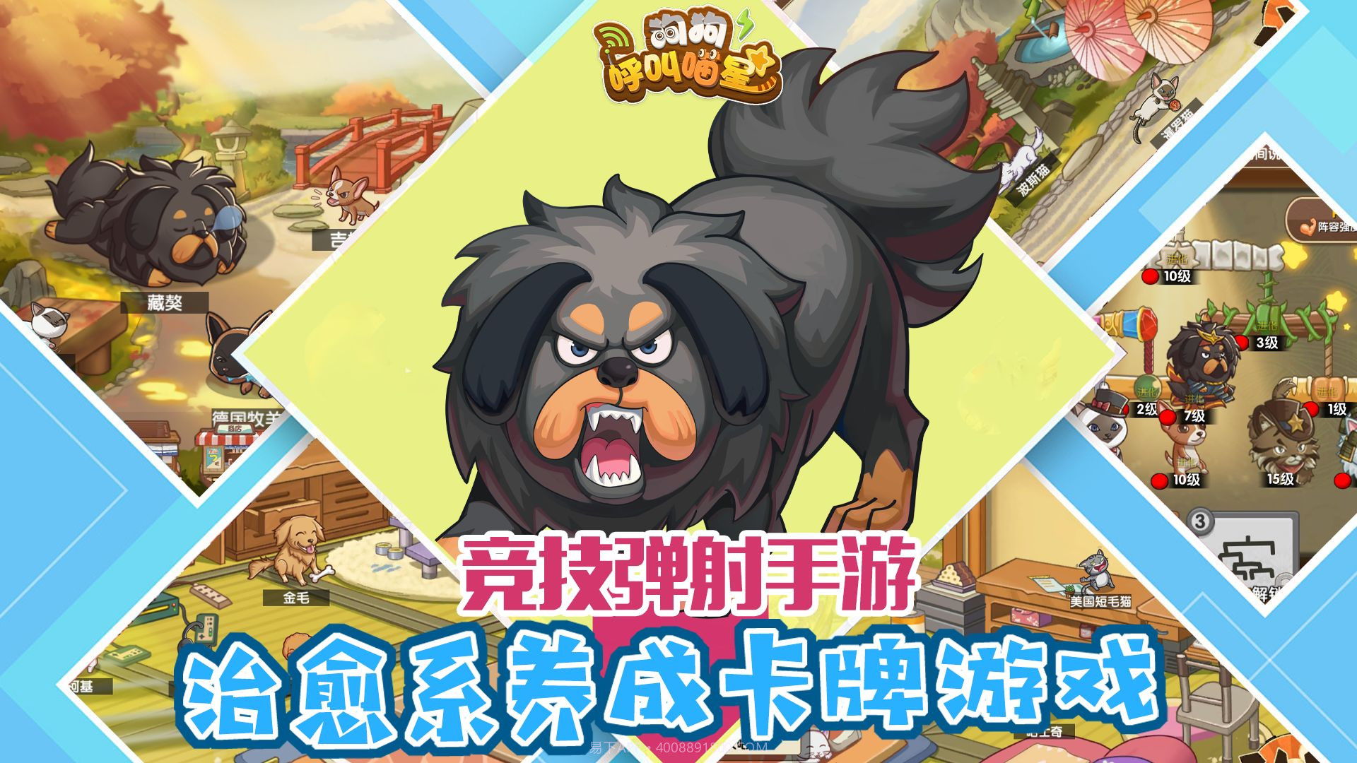 狗狗呼叫喵星测试服截图3 狗狗呼叫喵星测试服截图3